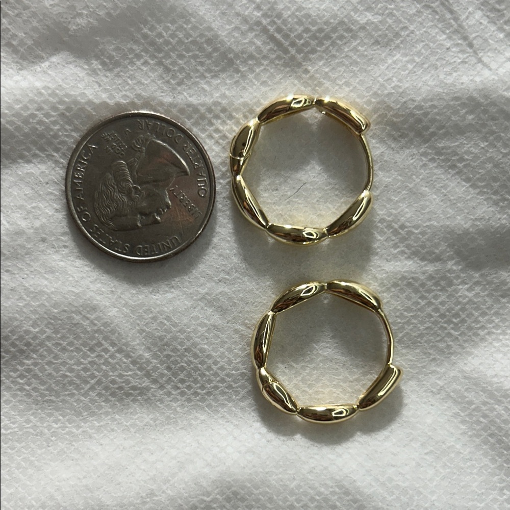Elegant Gold Hoop Earrings